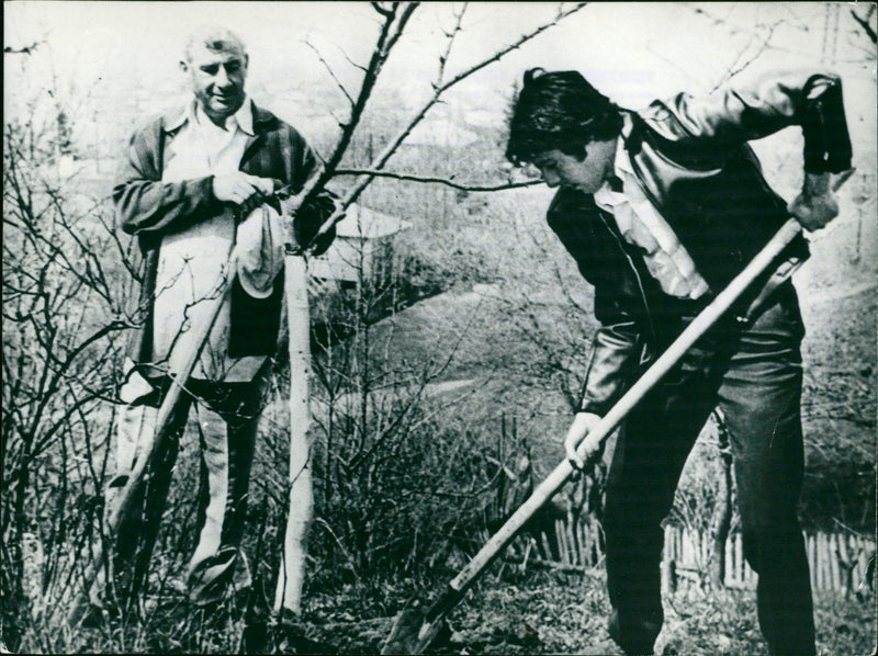 When the almond trees bloomed - Vintage Photograph