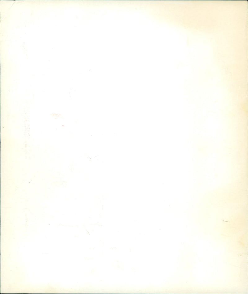 Wilhelm Braunwarth - Vintage Photograph