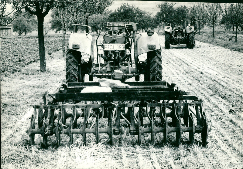 Agriculture grain - Vintage Photograph