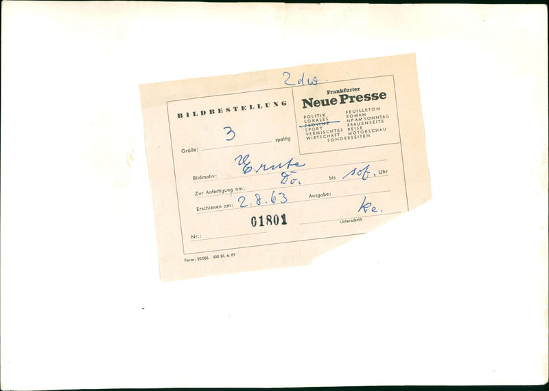 Agriculture grain - Vintage Photograph