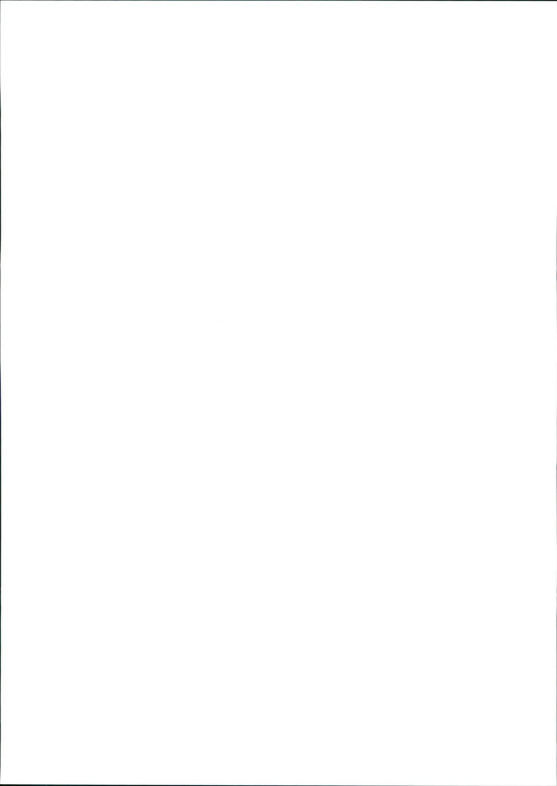 Grain field (barley) - Vintage Photograph