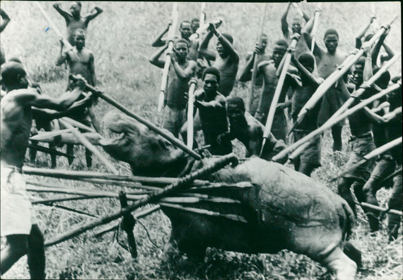 Natives and hippopotamus - Vintage Photograph