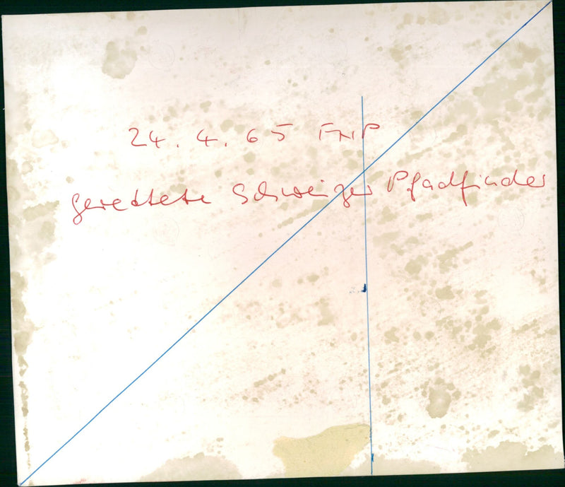 Swiss boy scout - Vintage Photograph