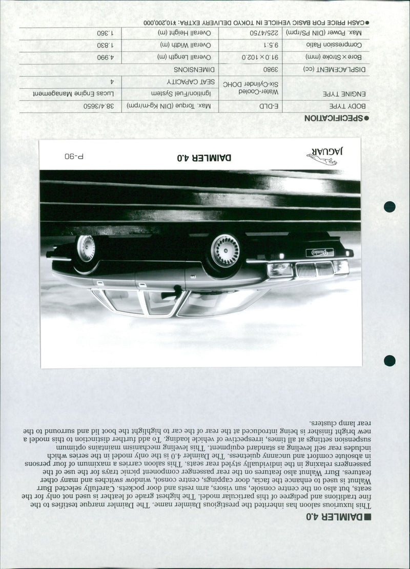 MODEL SERIES - Vintage Photograph