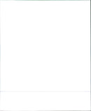 1989 FAMILY DRIVER - Vintage Photograph