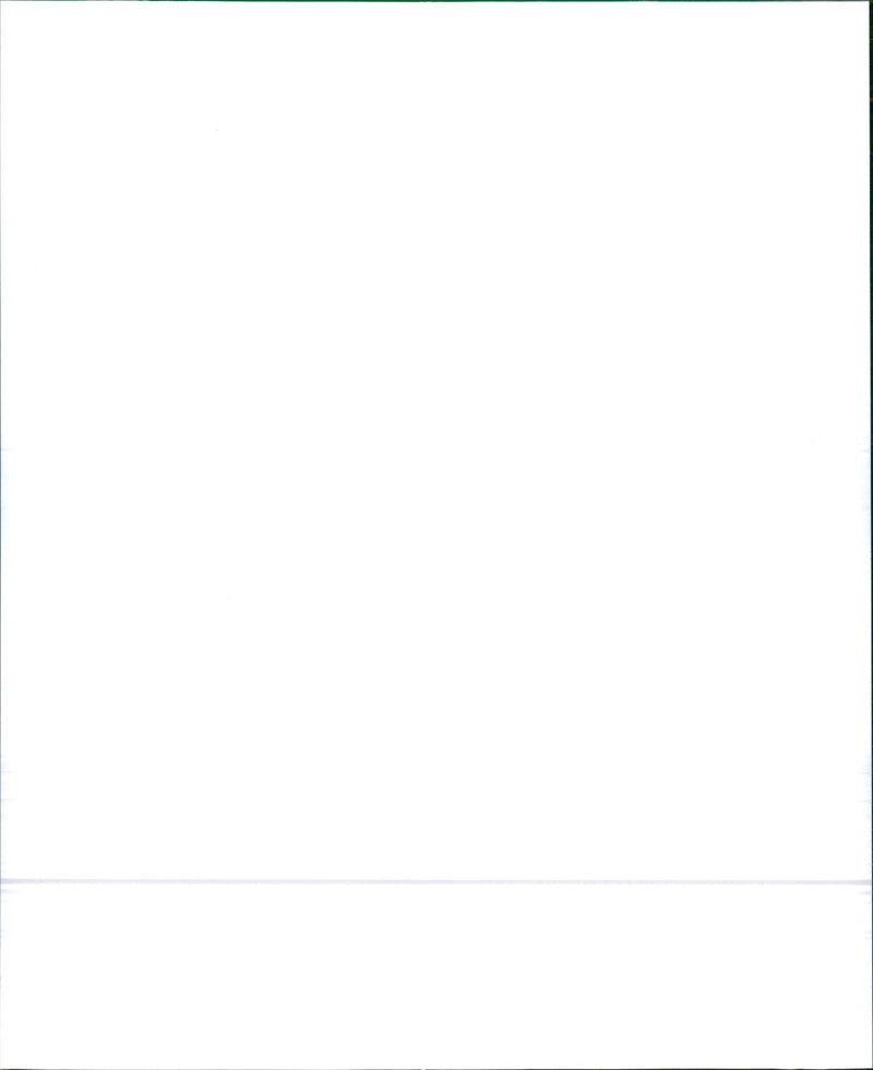 1989 FAMILY DRIVER - Vintage Photograph