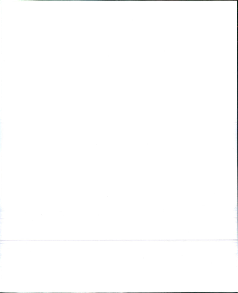 1989 INCLUDING - Vintage Photograph