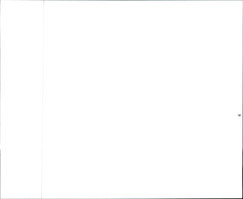 1990 FAMILY - Vintage Photograph