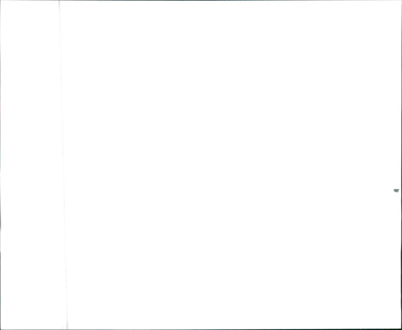 1990 FAMILY KING - Vintage Photograph