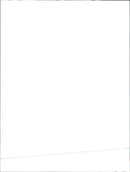 BROCUS ROYCE - Vintage Photograph