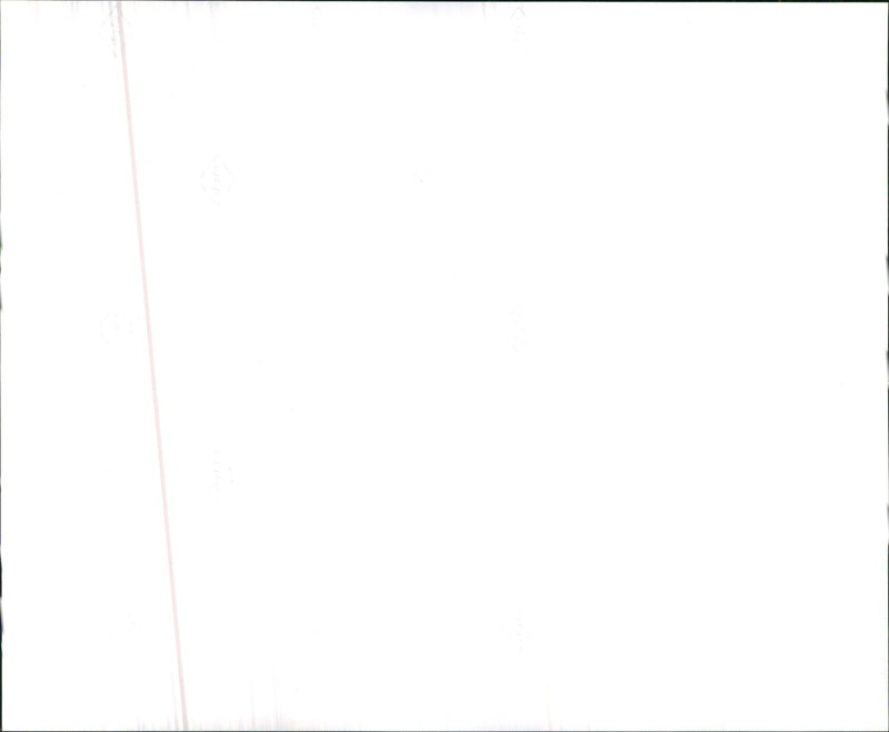 1991 LAURIE RALEIGH LAURA SEGALL - Vintage Photograph