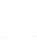 1991 LAURIE RALEIGH LAURA SEGALL - Vintage Photograph