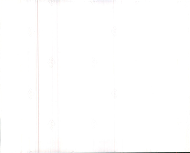 1991 LAURIE RALEIGH LAURA SEGALL FAMILY - Vintage Photograph