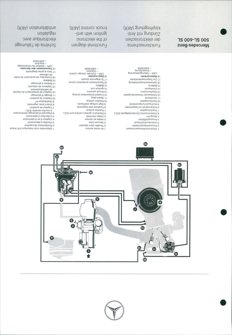 ELEKTRONISCHES ZUNDSCHALTGERAT POSITIONNEUR PAPILLON DISPOSITIF - Vintage Photograph