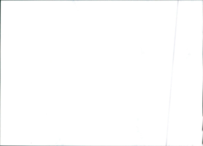 Toyota RAV4 - Vintage Photograph