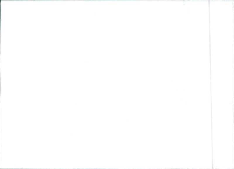 Toyota RAV4 - Vintage Photograph