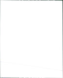 GTBFERRARI CARS - Vintage Photograph