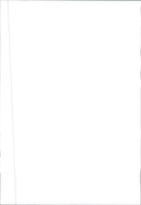 1998 DUO SALAMANDELEN EXH CARS - Vintage Photograph