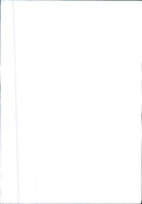 AMERICAN INTERNATIONAL - Vintage Photograph