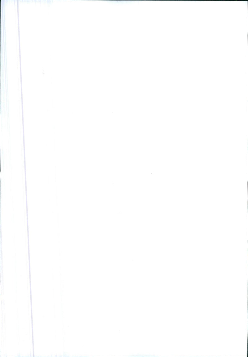 AMERICAN INTERNATIONAL - Vintage Photograph