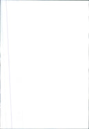 STAGE AMERICAN STAR INTERNATIONAL - Vintage Photograph