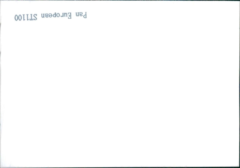 Pan European ST1100
GIRLINO - Vintage Photograph