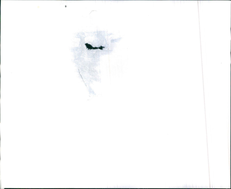 1969 The Rambler 440 - Vintage Photograph