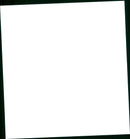 Airbus A319 - Vintage Photograph