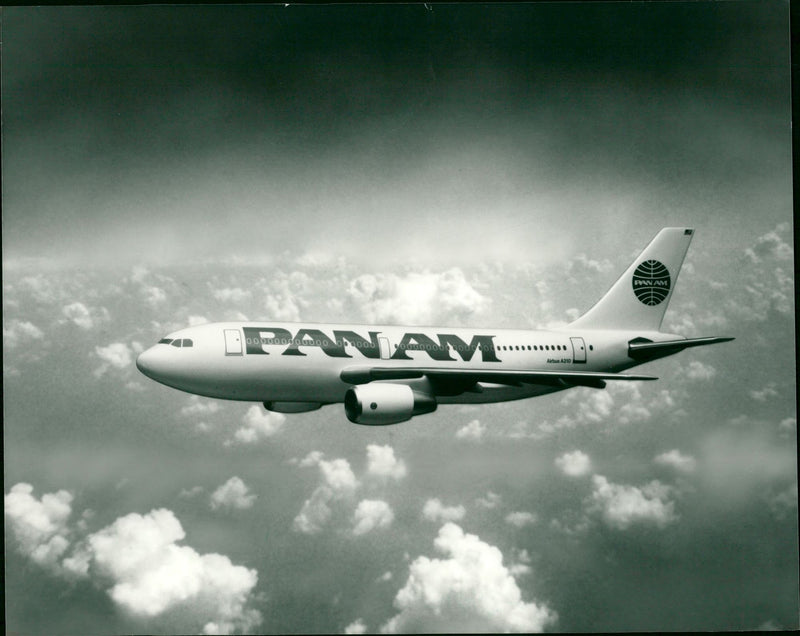 Airbus 310 - Vintage Photograph