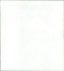 Airbus 321 rollout - Vintage Photograph