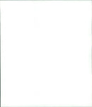 Airbus 321 - Vintage Photograph