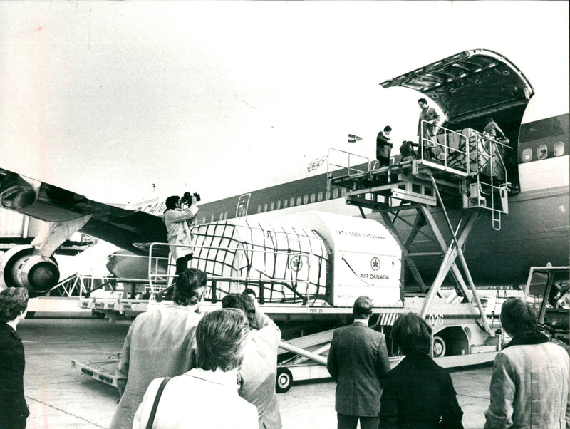 Boeing 747 - Vintage Photograph