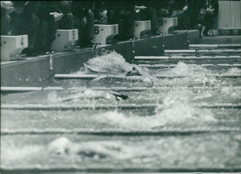 Swimming - Tokyo Summer Olympics 1964 - Vintage Photograph