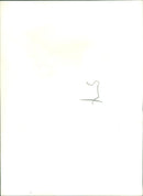 1964 Summer Olympics Tokyo - Vintage Photograph