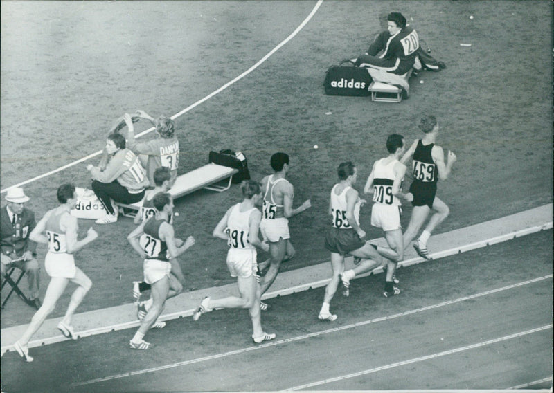 The 1964 Summer Olympics. - Vintage Photograph