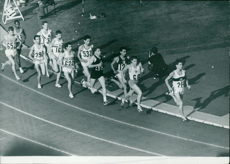 The 1964 Summer Olympics. - Vintage Photograph