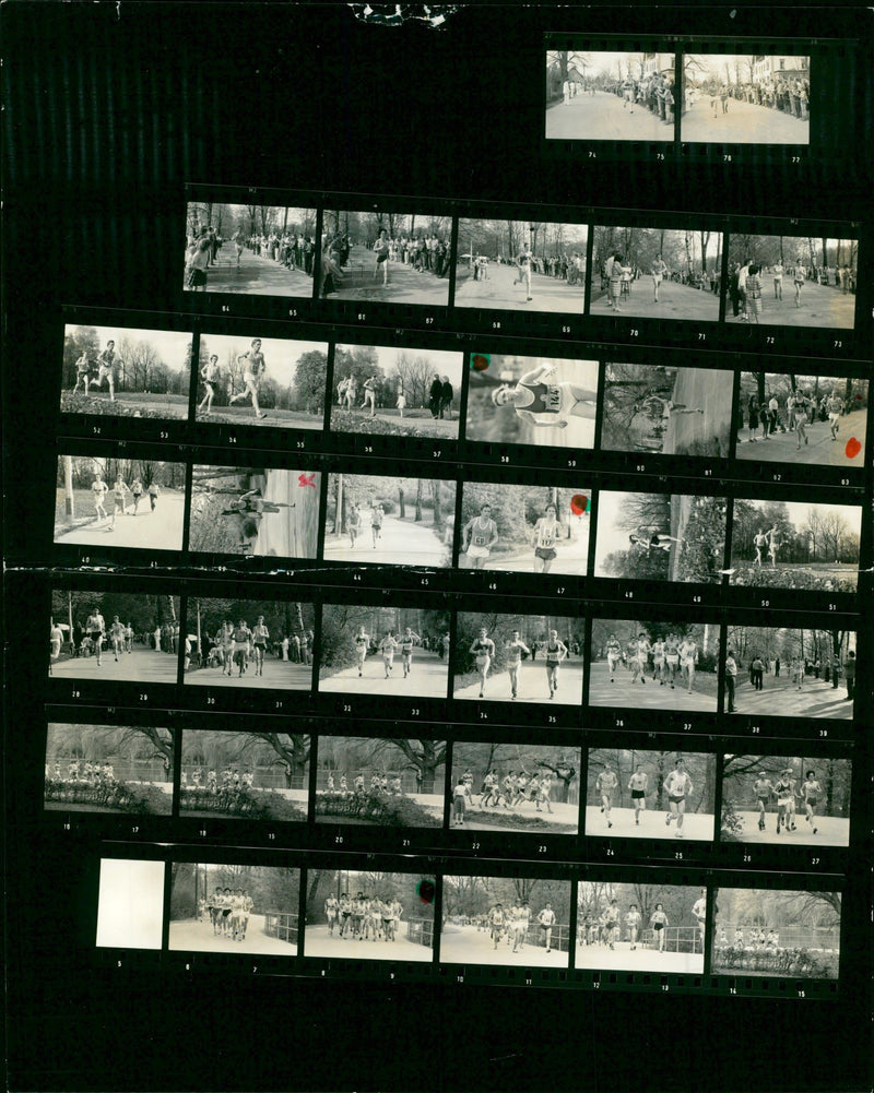 INTERNATIONAL MARATHON KILLI UNGARA START TAVERNA PETER - Vintage Photograph