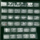 FILM RELEASED CINEMAS ACROSS DIR - Vintage Photograph