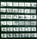 1966 FINALE HIGH JUMP WOMEN SEMIFINAL ACKERMANN GDR AWARD CEREMO FILM - Vintage Photograph