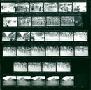 VSE VZE VOE KODAK TRI PAN FILM SAFETY STRAE SERI - Vintage Photograph