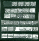 KODAK SAFETY FILM PAN TRI SAFE ODAK KUDAK UDAK TRIX - Vintage Photograph