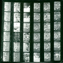 FILM MADE PARTS DOCUMENTARY FEAT - Vintage Photograph