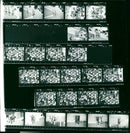 KLAUS JURGEN GRIINKE DDR AWARD TRIAL KARIN GUTHKE BARBARA FILM - Vintage Photograph