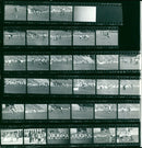 KODAK TRIX KODA PAN FILM SAFETY TRO TRU SAFET KOD - Vintage Photograph