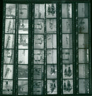 KODAK TRI PAN SAFETY FILM VOZ VILE - Vintage Photograph