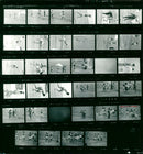 SONG CHTATHLETIK PRELIMINARY WOMEN FINAL IAM GO DDR BULS FILM JACKSON - Vintage Photograph