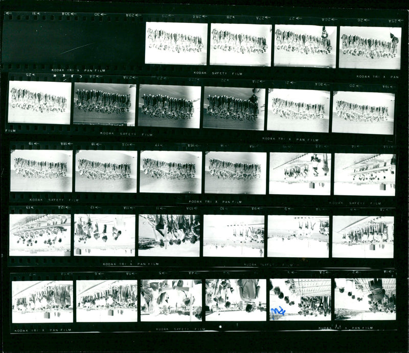KODAK TRIPAN FILM SAFETY KOD TRI - Vintage Photograph