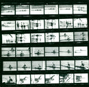 FILM ROWING MANNER FINAL TWOS WITHOUT STM DDR USA BRD EINER FIN - Vintage Photograph