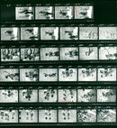 KODAK TRIXI SAFETY FILM VAZ VOE TRI PAN - Vintage Photograph