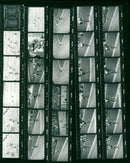 FILM SINGLE TRACKING JOCELIN LOVELL CAN JANUSZ KIERSZOWSKI POL EDUARD RAP - Vintage Photograph